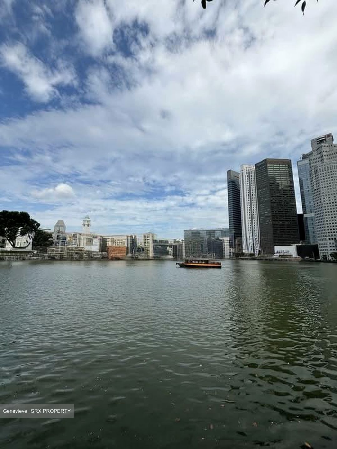 Boat Quay Conservation Area (D1), Shop House #564748121